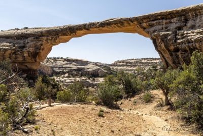 Natural Bridges Preserve June 2025